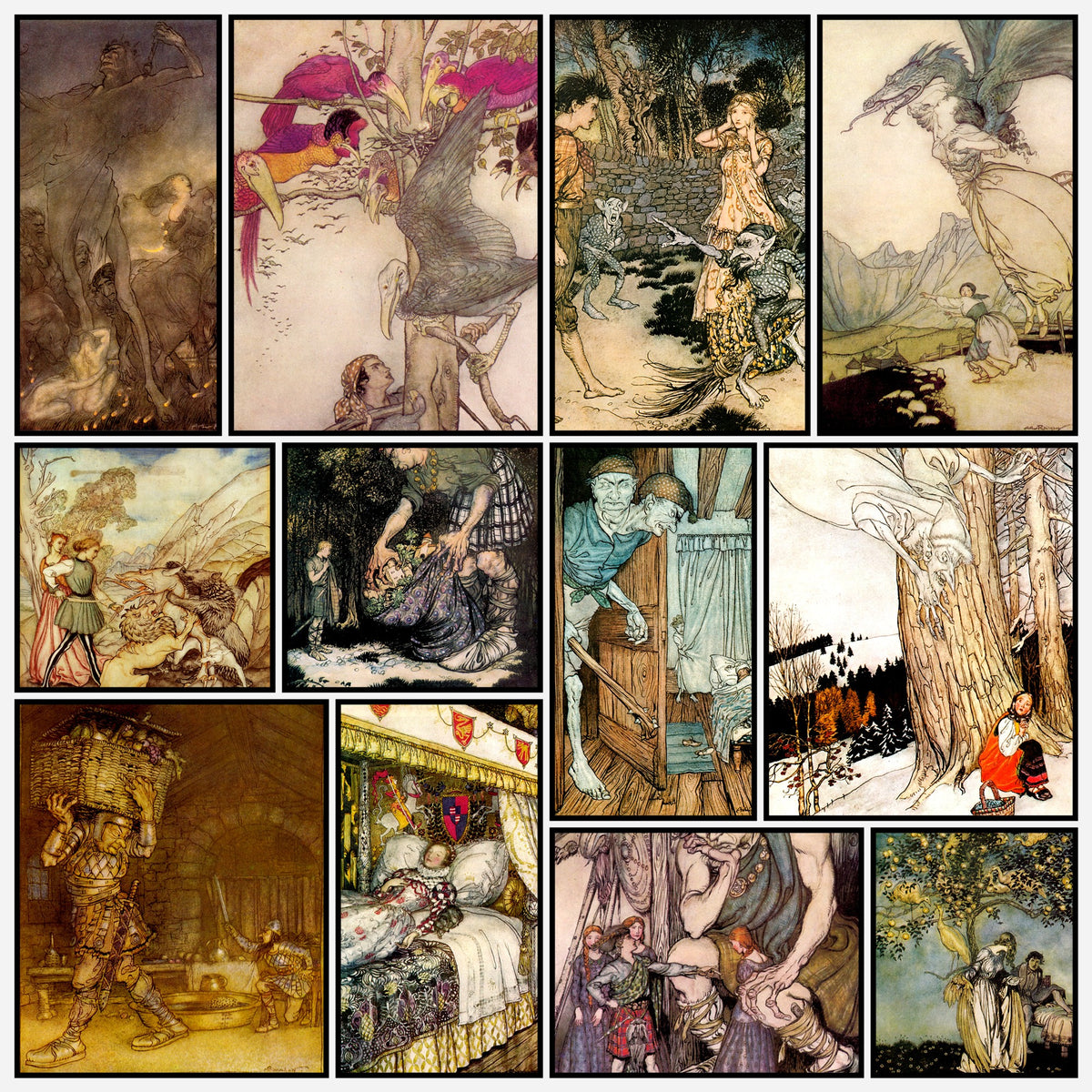 A snapshot of the images