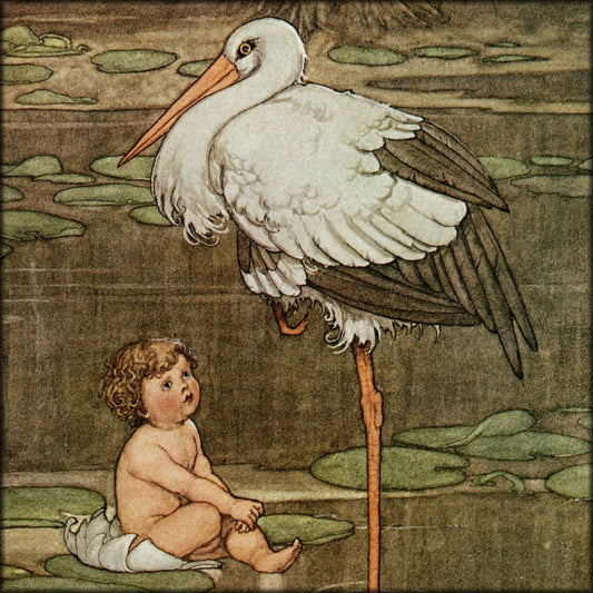 Hans Anderson's Fairy Tales 1913 - W. Heath Robinson | Digital Download - 21 images