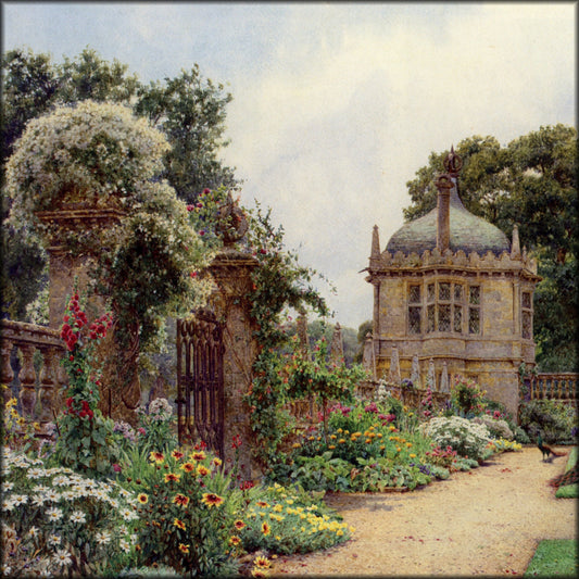 Digital Download - 1 image