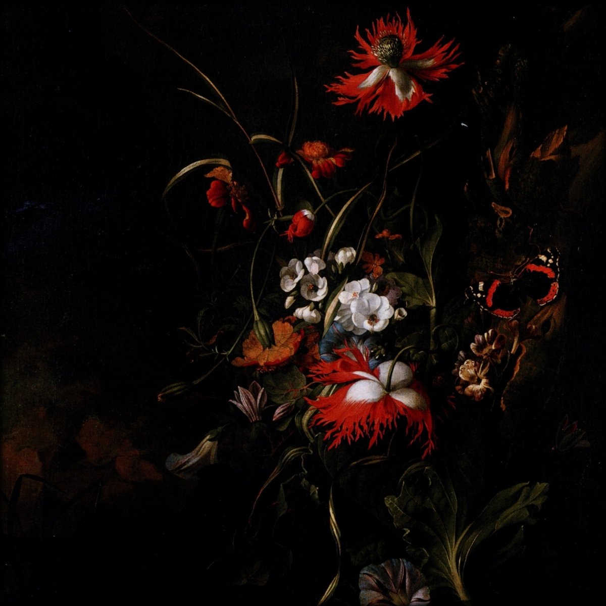 Digital Download - 1 image