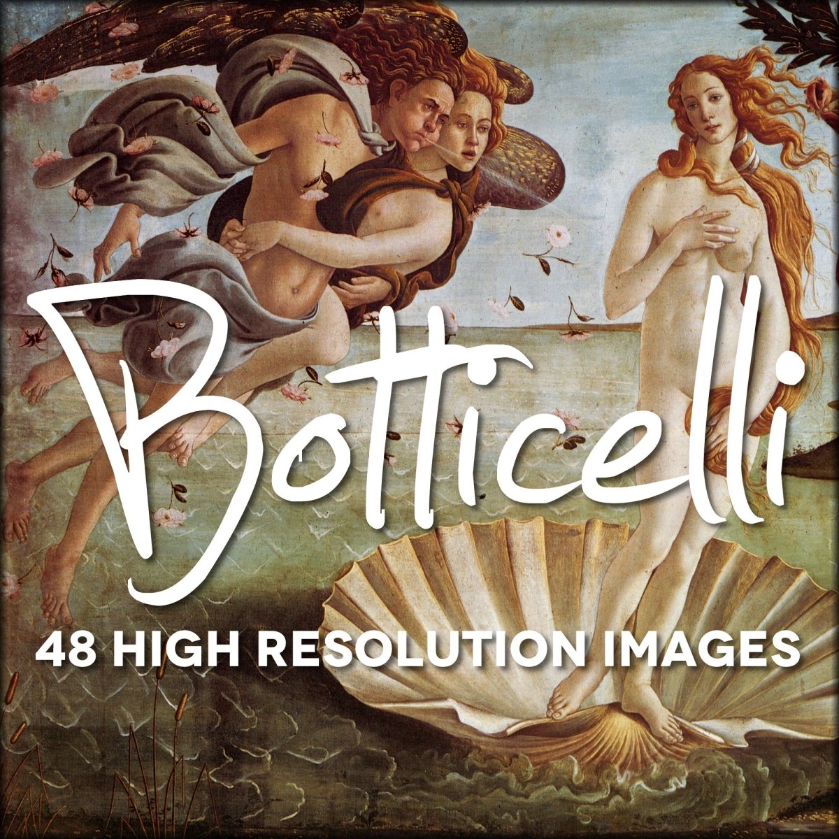 Botticelli Public Domain Images to Download | Digital Download - 48 images