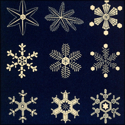 Snow-flakes 1863 - 12 Vintage Images | Digital Download - 12 images