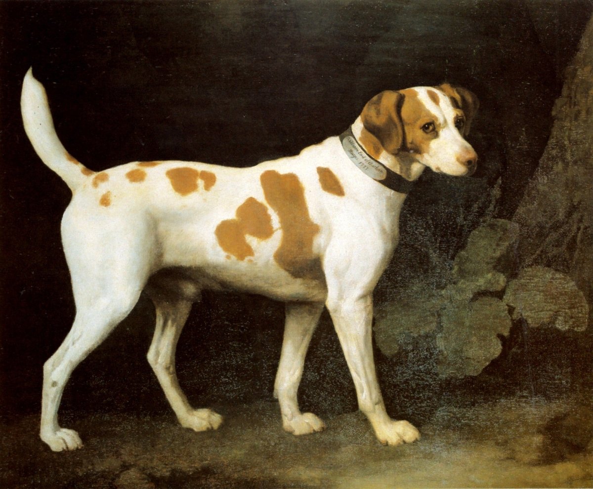 George Stubbs Public Domain Images including Whistlejacket | Dimensions 4254 x 3510 pixels
