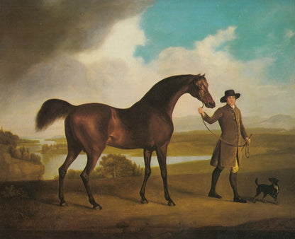 George Stubbs Public Domain Images including Whistlejacket | Dimensions 5568 x 4528 pixels