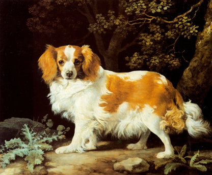George Stubbs Public Domain Images including Whistlejacket | Dimensions 4240 x 3520 pixels