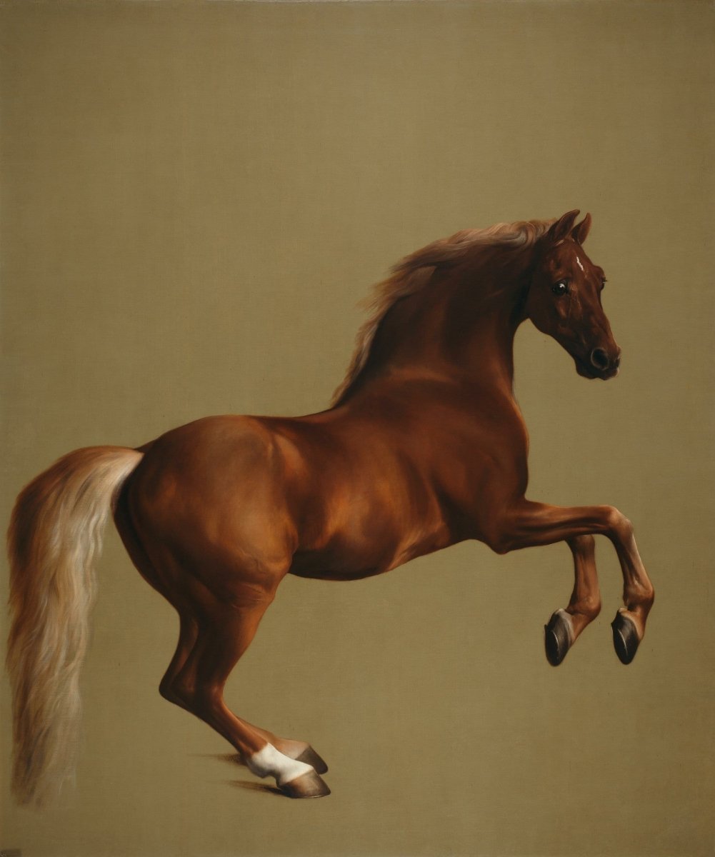 George Stubbs Public Domain Images including Whistlejacket | Dimensions 5004 x 6000 pixels