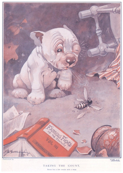 George Studdy - Taking the Count, from Sketch 1922 | Dimensions 4410 x 6190 pixels