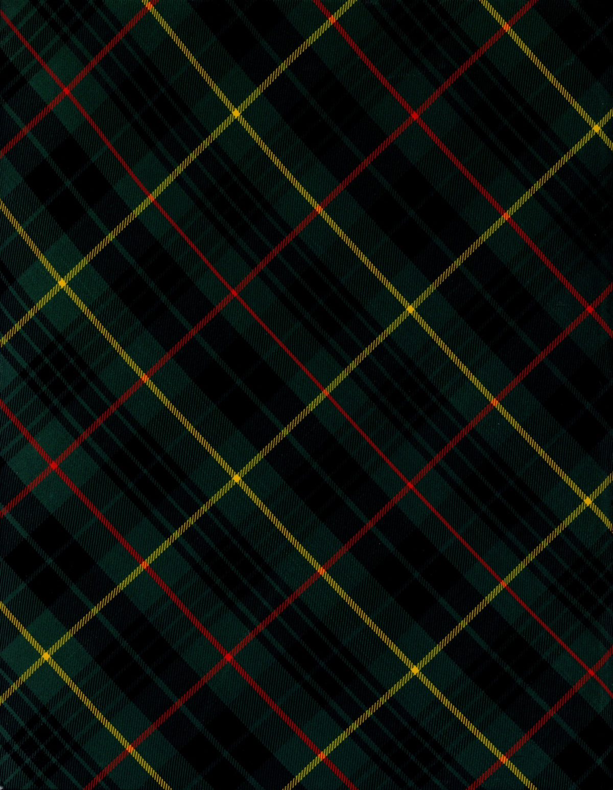 Dimensions 5040 x 6488 pixels