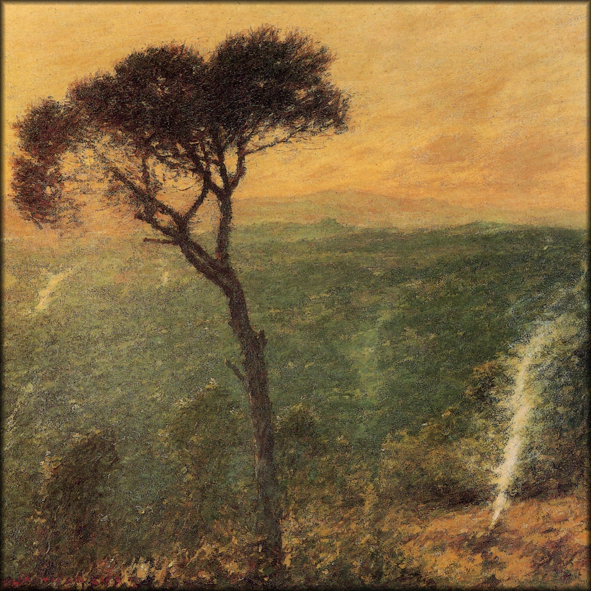 Digital Download - 1 image