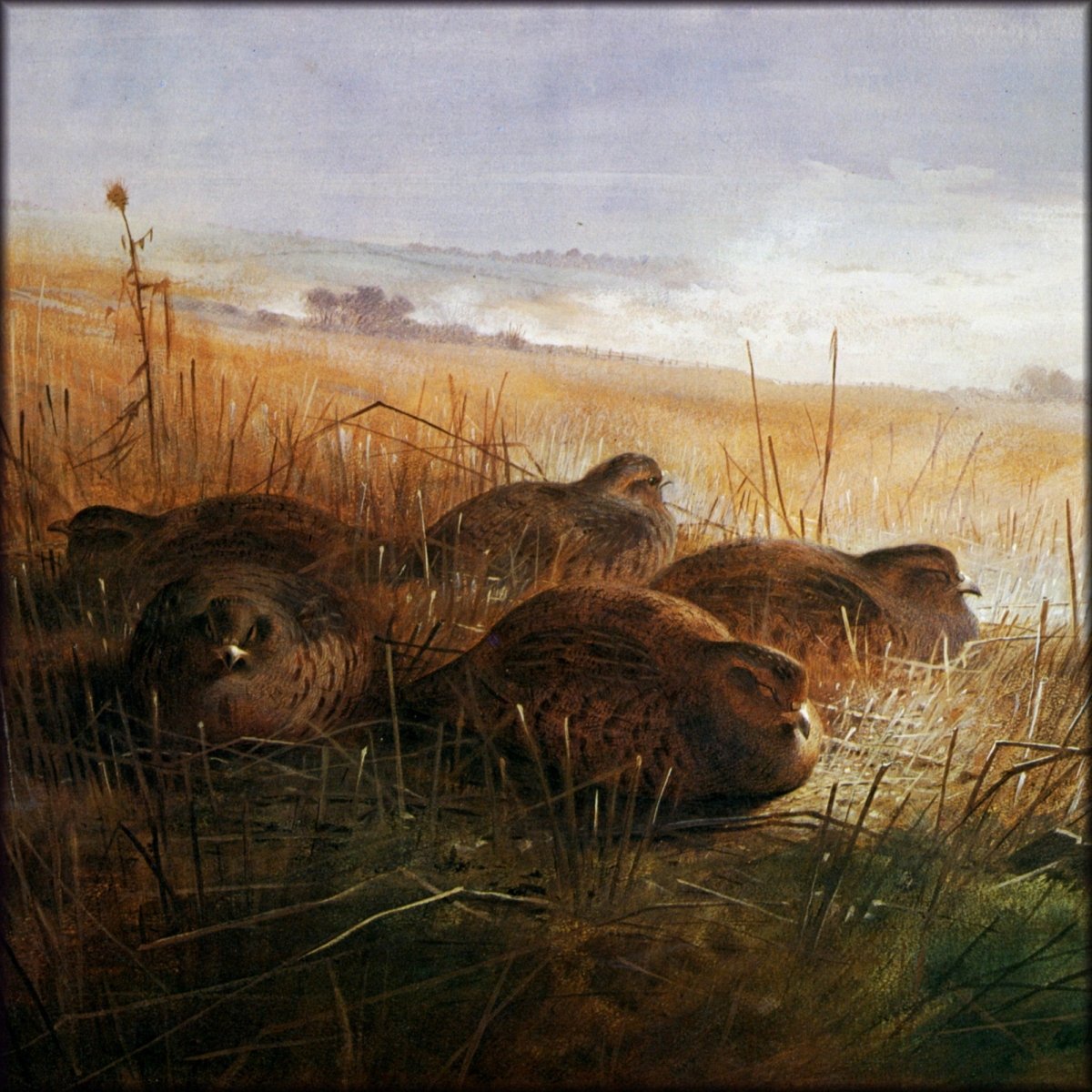 Digital Download - 1 image