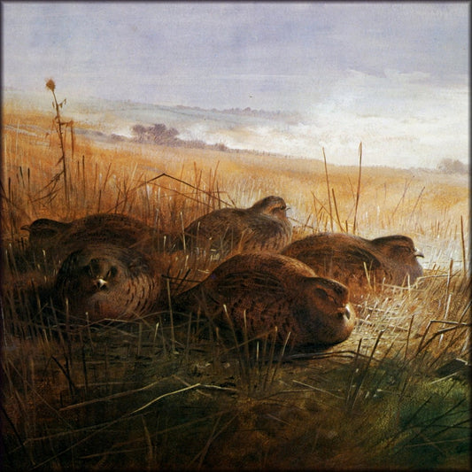 Digital Download - 1 image