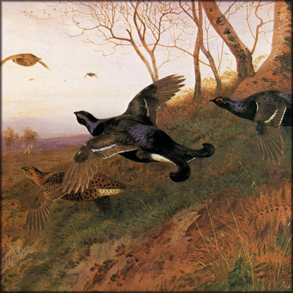 Digital Download - 1 image