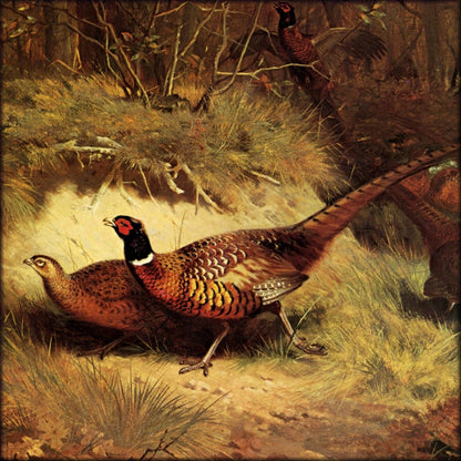 Digital Download - 1 image