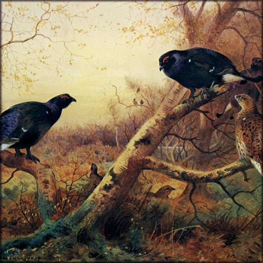 Digital Download - 1 image