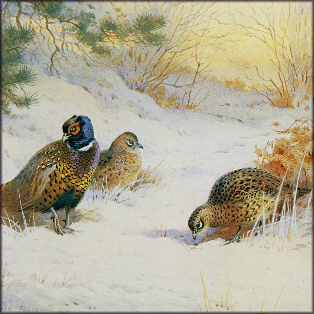 Digital Download - 1 image