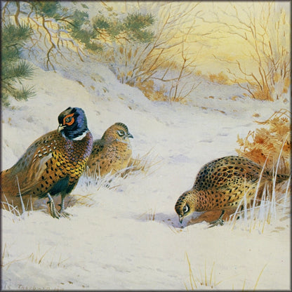 Digital Download - 1 image