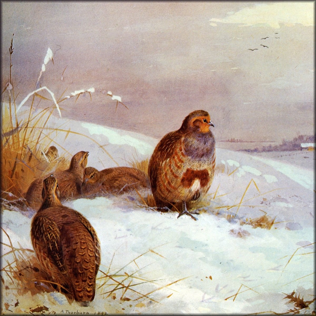 Digital Download - 1 image