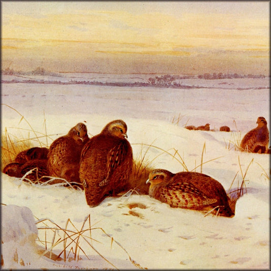Digital Download - 1 image