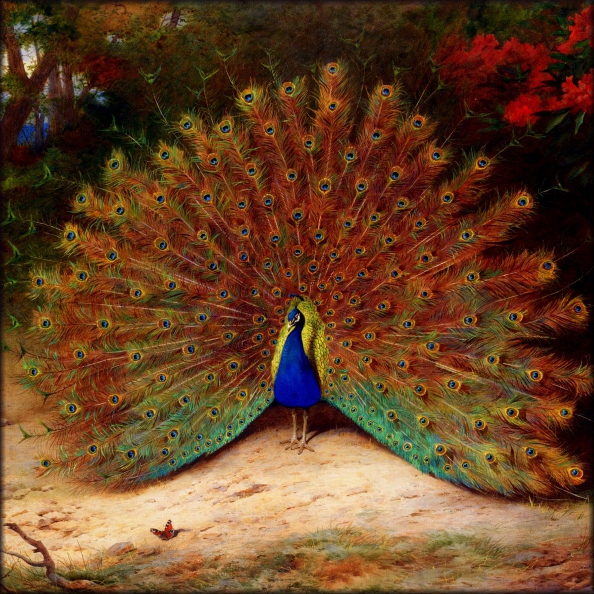 Digital Download - 1 image