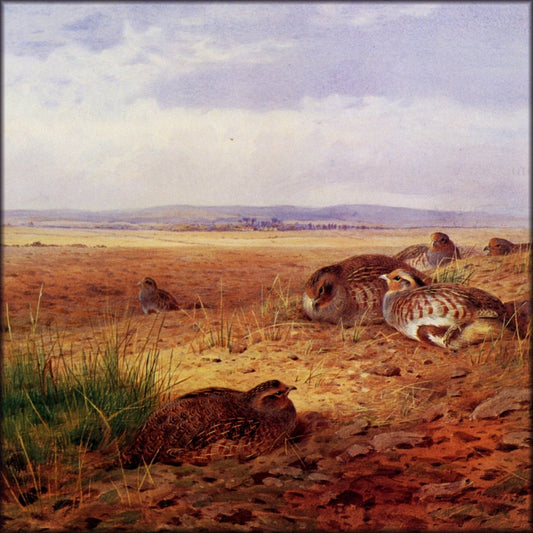 Digital Download - 1 image