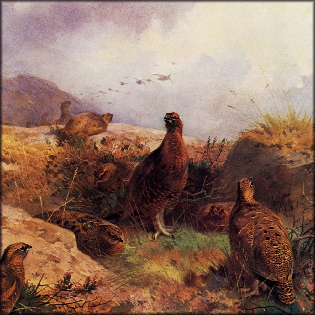 Digital Download - 1 image