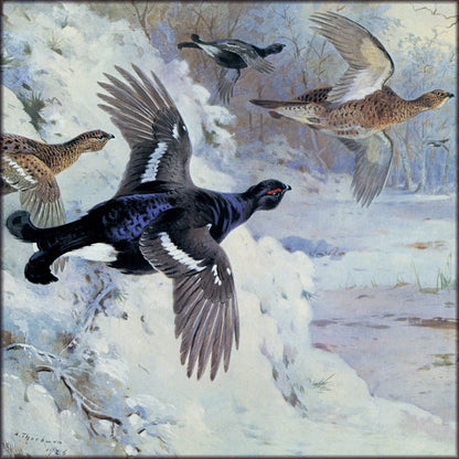 Digital Download - 1 image