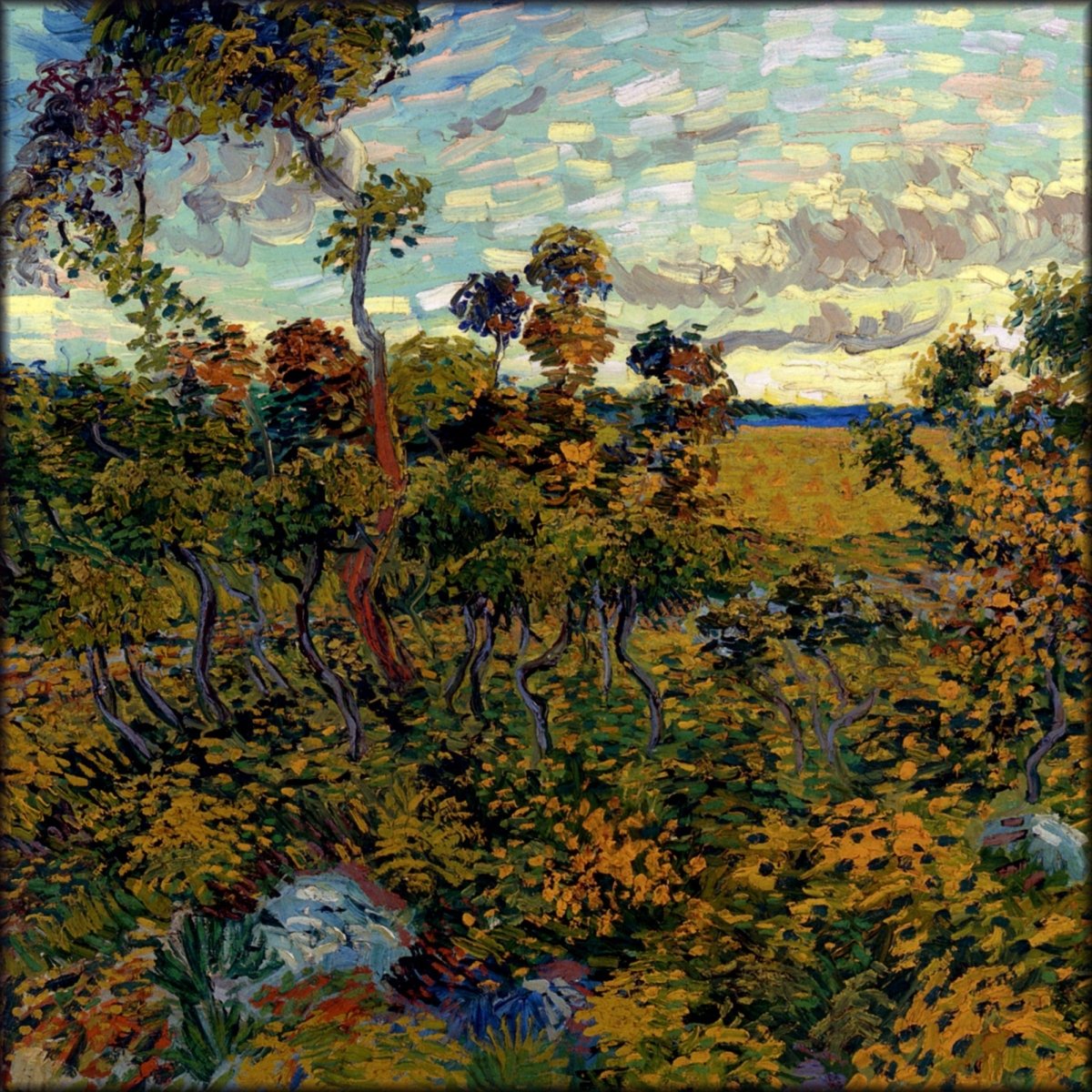 Digital Download - 1 image