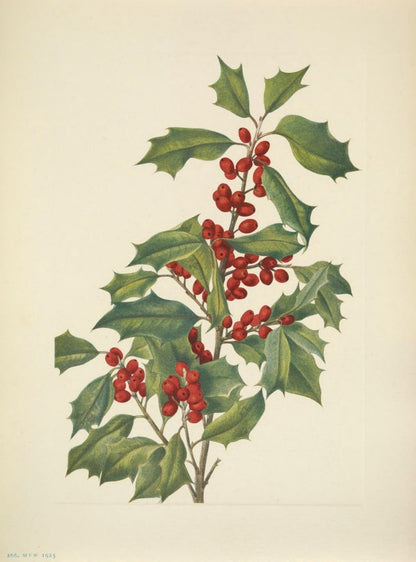 Mary Vaux Walcott Public Domain Images to Download | Dimensions 4997 x 6752 pixels