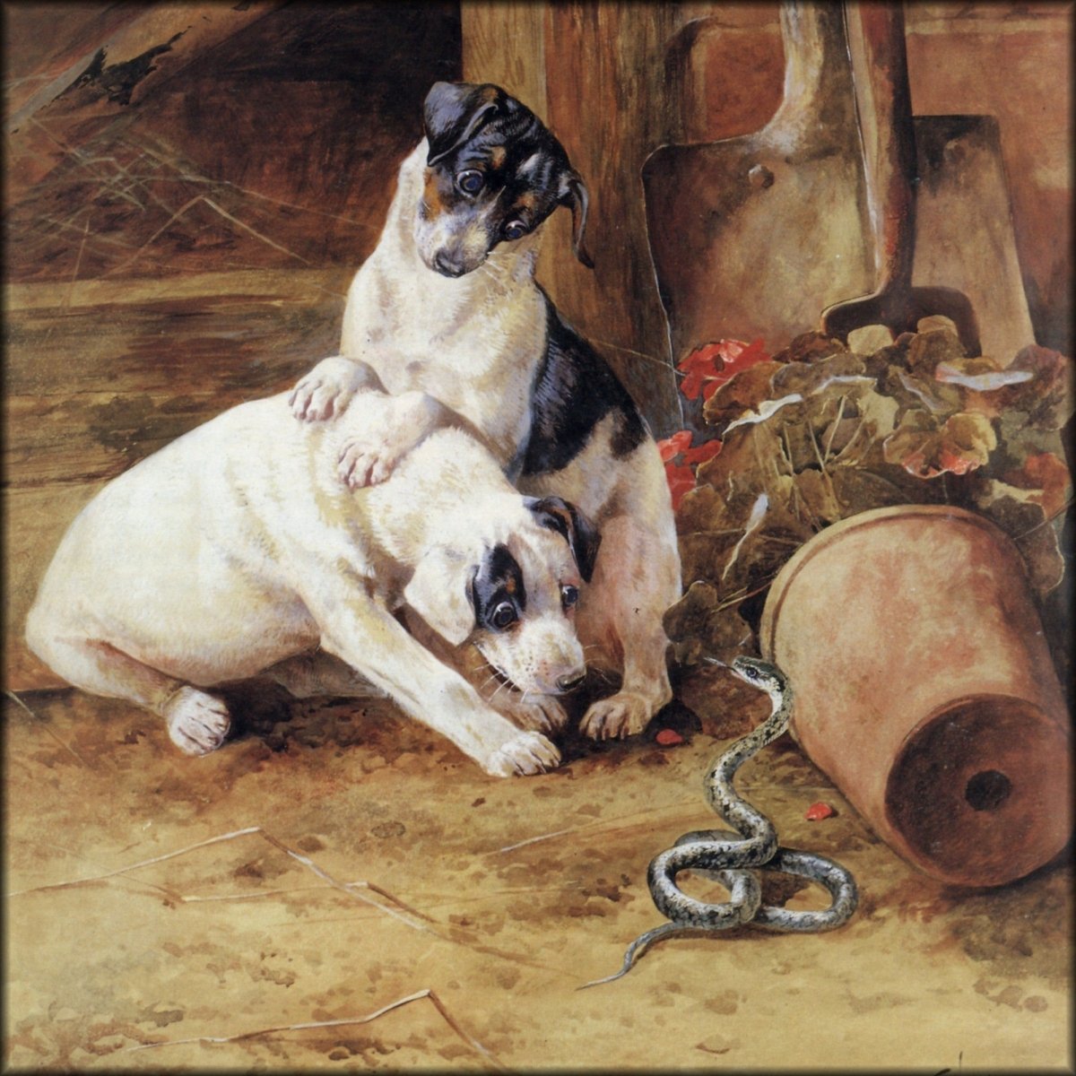 Arthur Wardle (1864-1949) - Two Terriers and a Snake | Digital Download - 1 image