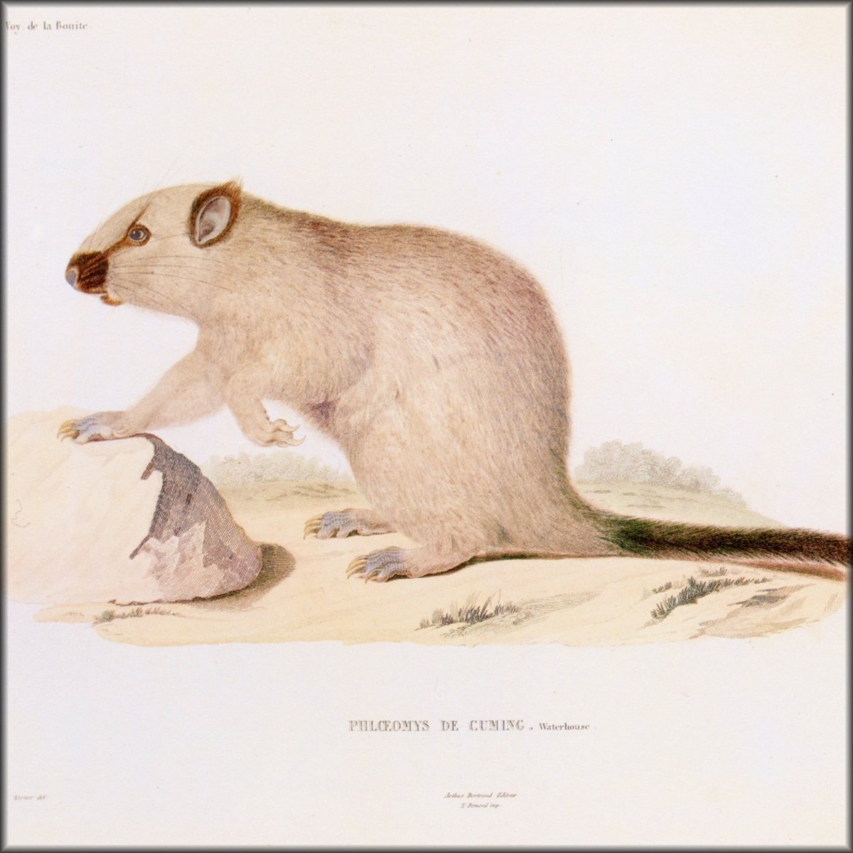 Digital Download - 1 image