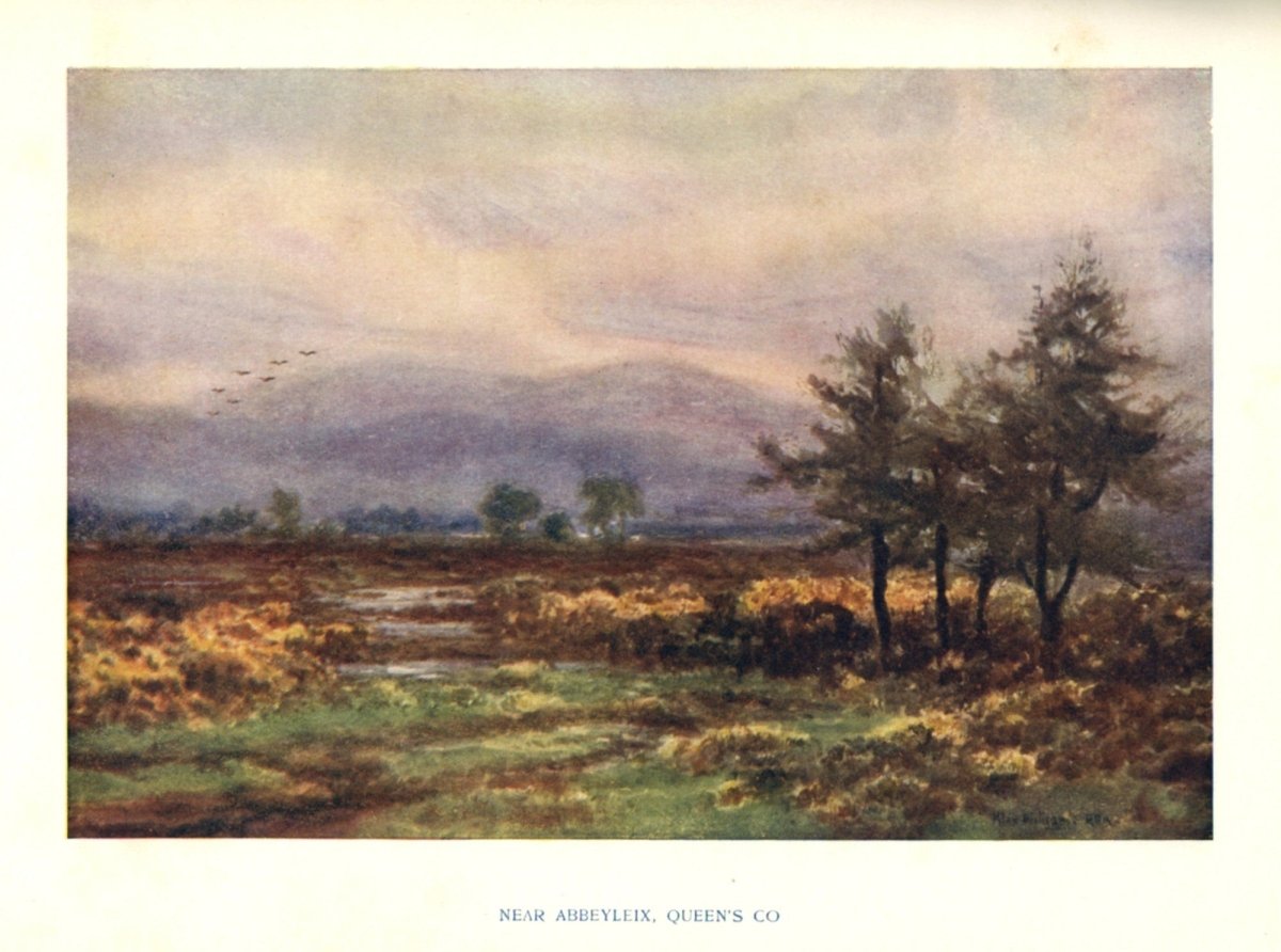 Leinster 1911 - Alexander Williams (1846-1930) - 12 images | Dimensions 4347 x 3231 pixels
