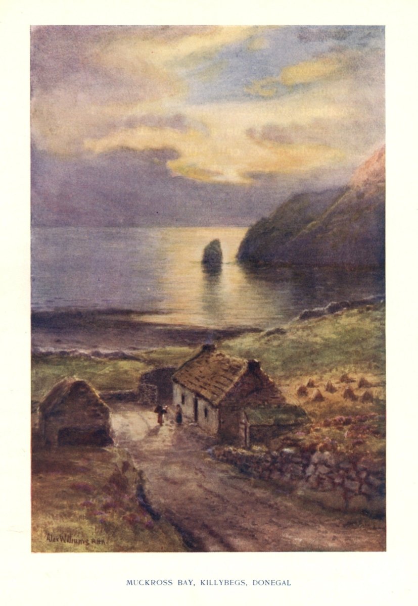 Ulster 1911 - Alexander Williams (1846-1930) - 12 images | Dimensions 3100 x 4500 pixels