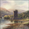 Ulster 1911 - Alexander Williams (1846-1930) - 12 images