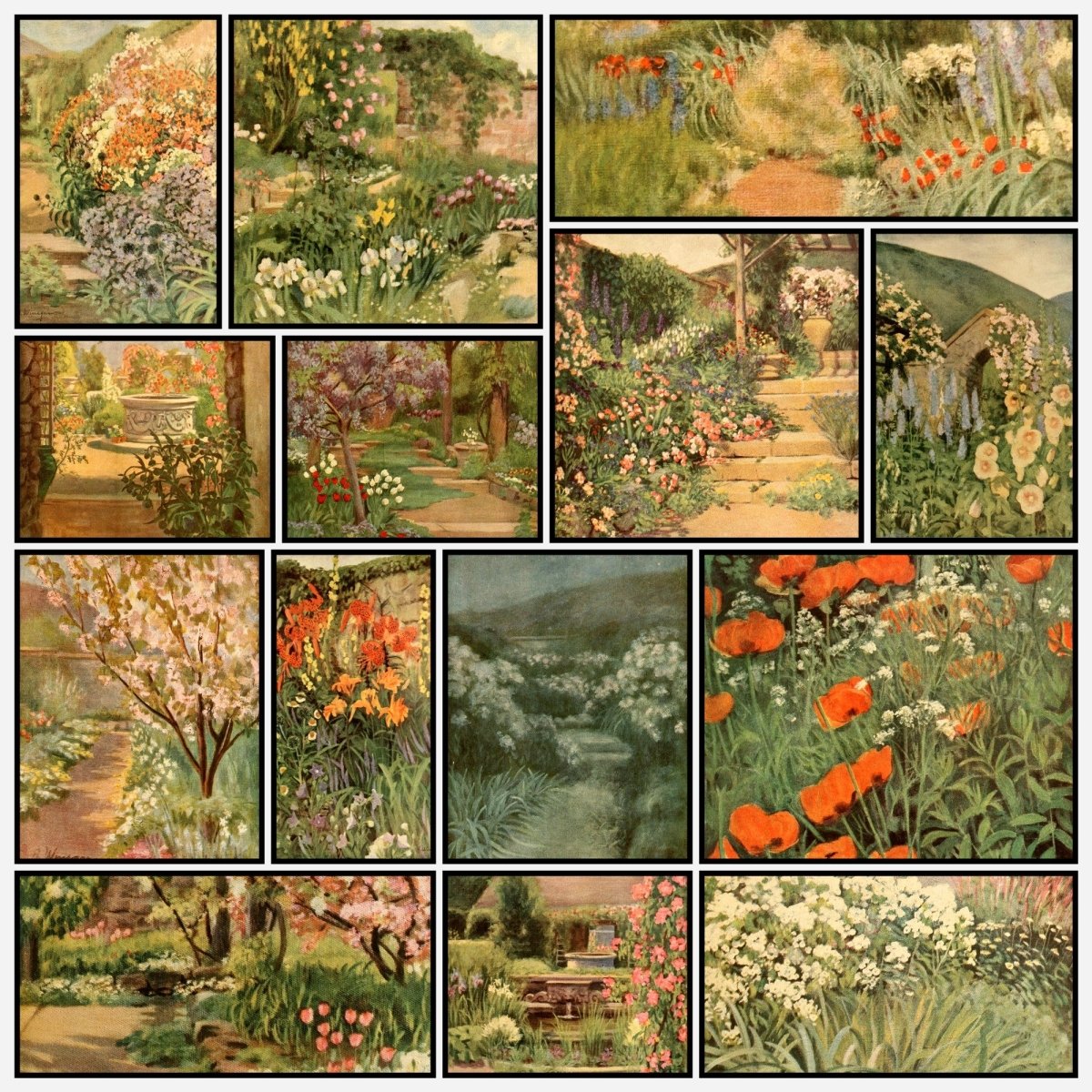 Colour in My Garden 1918 - Anna Winegar - 24 images | A snapshot of some of the images