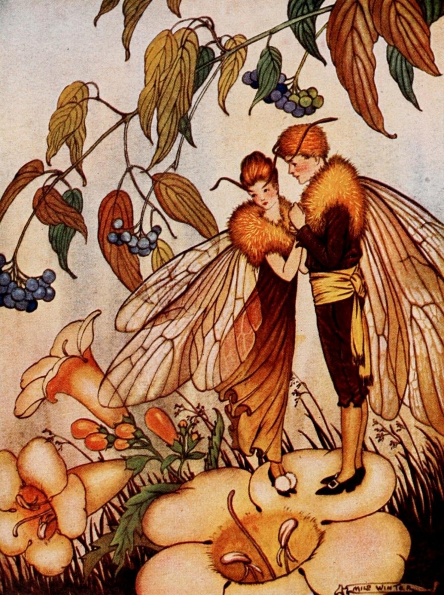 Nuova 1920 - Milo Winter - 1 image | Dimensions 1572 x 2104 pixels