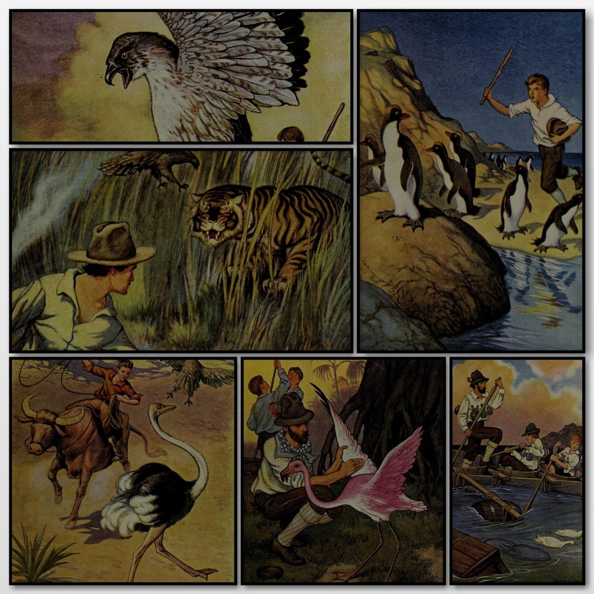 The Swiss family Robinson, 1916 - Milo Winter - 14 images | A snapshot of some of the images