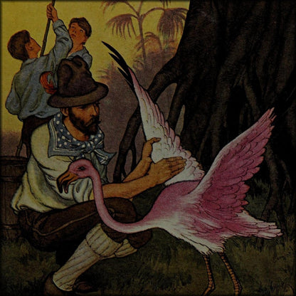 The Swiss family Robinson, 1916 - Milo Winter - 14 images | Digital Download - 14 images