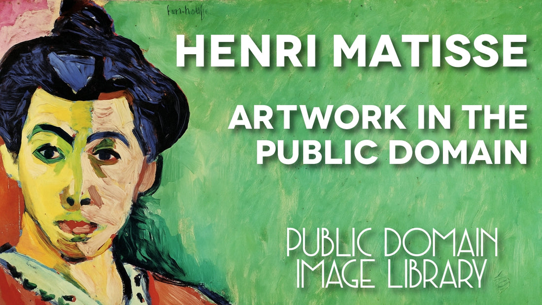 Video featuring a biography of Henri Matisse